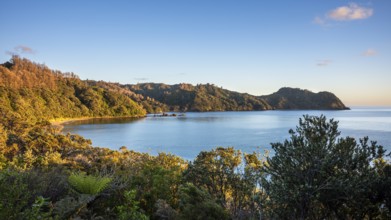 Landscape and sea in New Zealand. View of Otara Bay in the morning at sunrise, golden hour. Otara