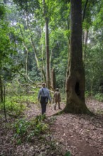 Tourists and rangers run in the jungle, Kibale National Park, Uganda
