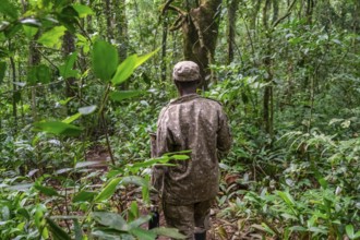 Ranger running in the jungle, Kibale National Park, Uganda