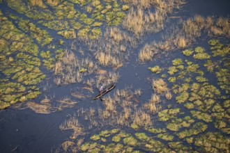 Marshland, marshland, Kavango fishermen with dugout boat, Mokoro, aerial view, Okavango Delta,