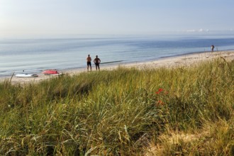 Two surfers waiting for waves, surfboards on the beach, no wind in the morning, coastline, summer