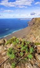 View from the Castillejo viewpoint from the Risco de Famara cliffs to the coast and the sea with