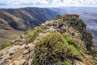 Castillejo viewpoint, view from the Risco de Famara Cliff, Lanzarote, Canary Islands, Spain