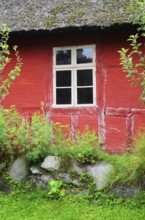 Window in red wall of half-timbered house with thatched roof in Den gamle by, The old village, open