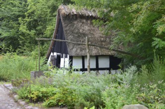Older half-timbered house with thatched roof by older well in Den gamle by, The old village, open