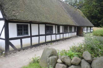 Older half-timbered house with thatched roof gamle by, The old village, open air museum in Odense,