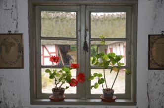 Geraniums in an old barred window and with a view out onto a half-timbered courtyard with a