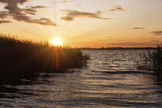 Typical landscape in southern Sweden, Lake Ringsjön, picturesque sunset on the shore, sunbeams