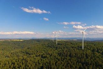 Wind turbines over a thick forest under a clear blue sky with some clouds, near Schorndorf,
