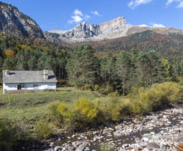 Mountain landscape view, Selva de Oza, Valle de Hecho, Pyrenees Mountains, Huesca province, Aragon,