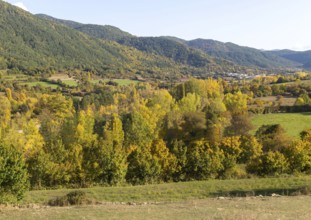 Autumn valley landscape near village of Echo or Hecho, Valle de Hecho, Huesca province, Aragon,