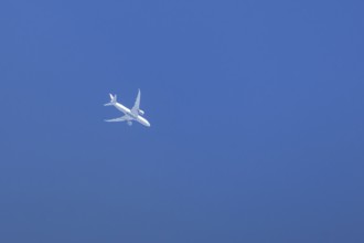 Boeing 787-8 Dreamliner jet passenger aircraft of Qatar airways airlines flying in a blue sky,