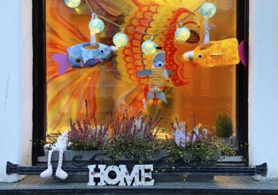 Decorated evening festival for Martin's procession, Old Town, Kempen, Lower Rhine, North