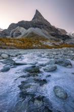 Ice structures on mountain stream with autumnal larches and mountain views, Mont Mine, Ferpecle