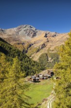 Traditional wooden huts on Alpe near Evolene, Val d'Herens, Canton of Valais, Switzerland