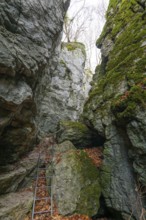 The ladder at the rocks and caves of hell holes in the autumnal landscape of Dettingen an der Erms