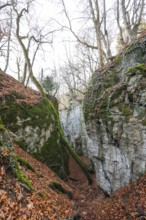 Rocks and caves of hell holes in autumn landscape Dettingen an der Erms Baden-Württemberg Germany