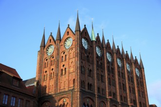 Town hall in the urban area of Altstadt, Stralsund, Hanseatic City of Stralsund, Vorpommern-Rügen