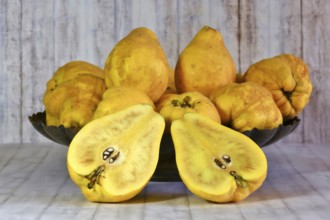 Picturesque still life with quinces, autumn, Germany