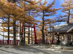 Mount Fuji Lookout, Fujiyoshida city in Yamanashi Prefecture, Japan. Entrance to Fujisan Komitake