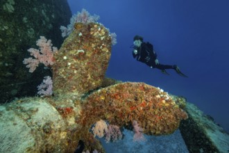 Diver intentionally regards large propeller from 2018 as an artificial reef attraction for scuba