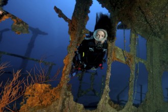 Diver deliberately submerged shipwreck wreck Silver Star, Indian Ocean, Pereybére, Mauritius in