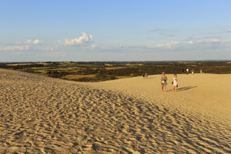 Rubjerg Knude, walker on the horizon, hiking dune in summer, Løkken, Lokken, Nordjylland, North