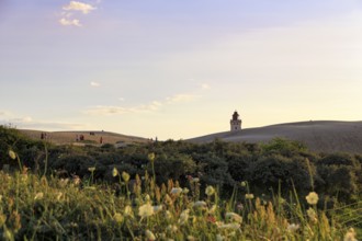 Rubjerg Knude lighthouse on the horizon, walkers on hiking dune, evening mood in summer, Løkken,