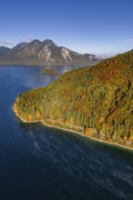 Mountain lake, mountains, sunny, morning light, autumn, autumn color, forest, aerial view,