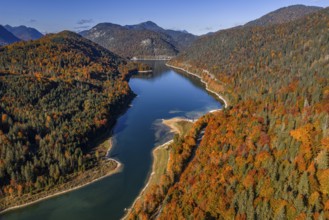 Mountain lake, mountains, sunny, morning light, autumn, autumn color, forest, aerial view,