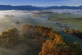 Trees, oaks, beech trees, sunny, morning light, autumn color, fog, aerial view, Riegsee, view of