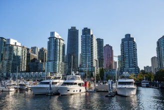 Sailing boats in marina, skyscrapers on the promenade, Coal Harbour, Vancouver, British Columbia,