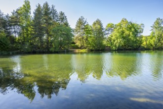 Landscape of a little lake on a sunny day in spring, Upper Palatinate, Bavaria, Germany