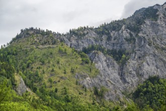 View into the mountains next to Lake Offensee on a rainy day in spring, Salzkammergut, Austria,