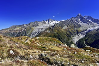 From left front Glacier du Tour back Aiguilles du Tour, right Aiguille du Chardonnet, in front