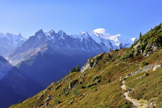 Autumnal landscape with snow-covered Mont Blanc massif in the background, Chamonix-Mont-Blanc,