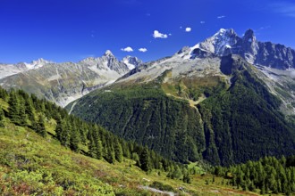 From left Aiguille du Chardonnet, in front foothills of the Argentière Glacier, on the right
