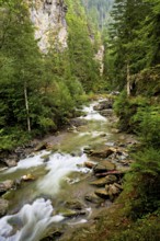 Diosaz mountain river in the gorge, Gorges de la Diosaz, Les Houches, Chamonix-Mont-Blanc,