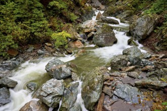 Diosaz mountain river in the gorge, Gorges de la Diosaz, Les Houches, Chamonix-Mont-Blanc,