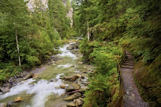 Wooden walkway on the Diosaz mountain river in the gorge, Gorges de la Diosaz, Les Houches,