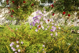 Schlossvorwerk Muskau in Muskauer Park, UNESCO World Heritage Site, Bad Muskau, Upper Lusatia,