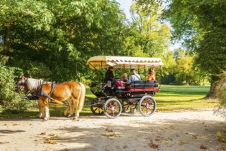 Horse-drawn carriage with tourists in Muskauer Park, UNESCO World Heritage, Bad Muskau, Upper