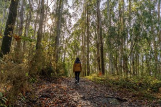 Woman is walking along a tranquil path covered with fallen leaves, enjoying a peaceful outdoor hike