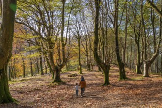 Mother and young son enjoying a peaceful walk through a beautiful basque country forest during