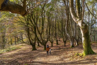Mother and child are walking together on a path covered with fallen leaves through a beautiful