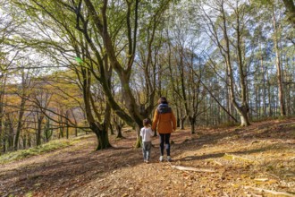 Mother and son enjoying a peaceful walk together through a mixed autumn forest, exploring nature