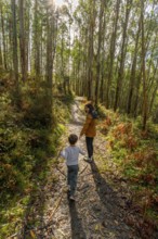 Mother and son are walking along a winding dirt path, exploring a vibrant eucalyptus forest with
