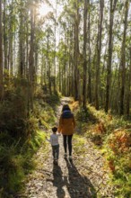 Mother and son enjoying family time, walking hand in hand on a sunlit forest path covered with