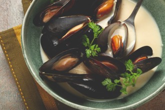Mussels in shells, in creamy garlic sauce, mussels in bechamel sauce, homemade, no people