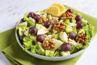 Fresh Waldorf salad, celery stalk with chicken, apple and walnuts, grapes, herbs, homemade, without